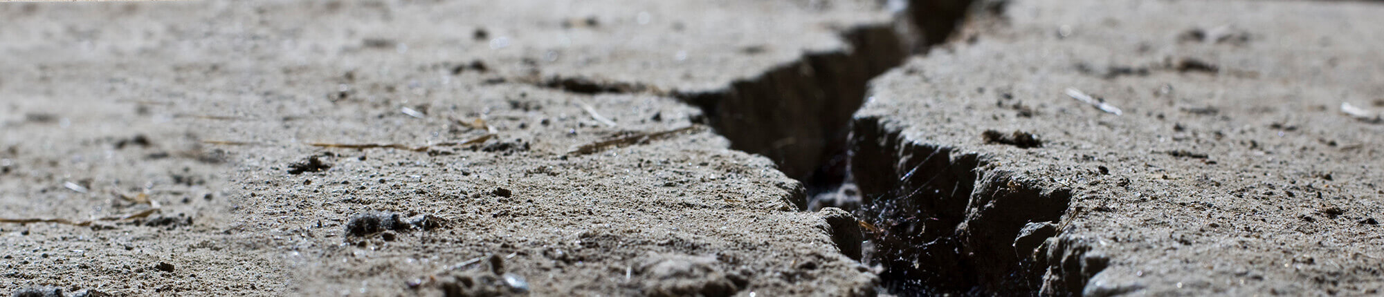 Cracked foundation in Milwaukee home