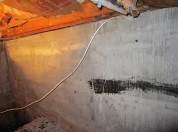 New Berlin Basement Repair