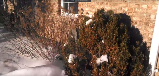 Ice and Snow Cause Basement Moisture Wet Basement Problems in the Winter